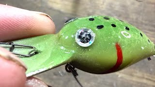 New Members Vid!…Baby Poop Wiggle Wart…