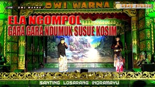 LAWAKAN ELA PESEK & KOSIM KOCAK_HABIS