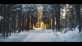 4K | Beautiful Winter Snow | 4 Hrs of Soothing Sleeping, Study Music | Helps Brighten Mood