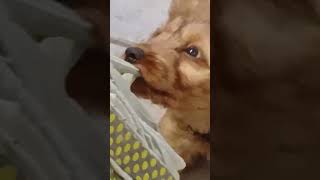 vlog1: taking max outside
