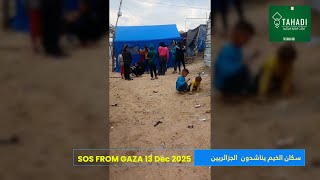 #CaravanForGaza#SosFromGaza#13dec2025#