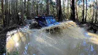 Adventure Kings Anglesea Bog Holes Great Ocean Road