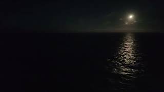 Ship crossing a moonlit ocean