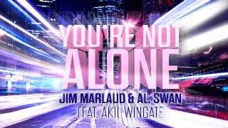 Jim Marlaud & Al Swan feat Akil Wingate " youre not alone " extended "