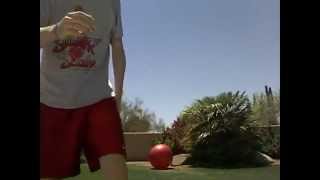 Dodgeball Dog Poop