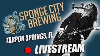 Sponge City Brewing | 01/30/2026 | Tarpon Springs, FL | #Shorts #LiveMusic #Reggae
