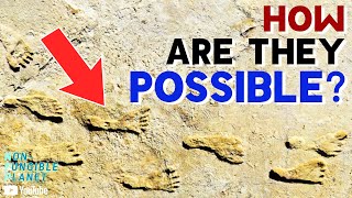 The Biggest Mystery In Human History Was Just Solved