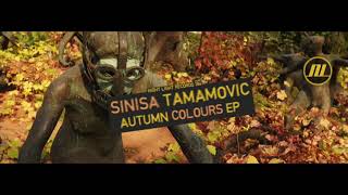 Sinisa Tamamovic - Illegal Dance - Night Light Records