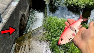 Fishing FLORIDA CANALS INFESTED W/ BIG BASS!
