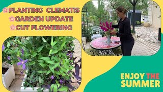 Planting Clematis, Garden Glow-Up & Fresh Cut Flowers! | Gardening with Nvart