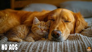 12 Hours Relaxing Dog Music 🌈🐶 Deep Sleep Aid & Anti-Anxiety Relief | Healing Sounds 🌈💖