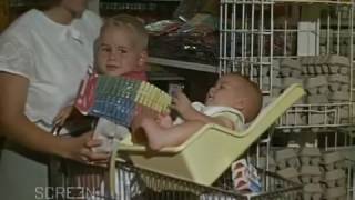 Life in Australia, Sydney 1966