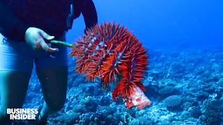 The Riskiest Underwater Jobs In The World