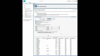 How to Mass Transfer Records in Salesforce | Step-by-Step Tutorial