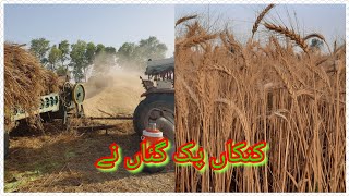 #villagelife #Villagevlogs Wheat Harvesting season in Talagang