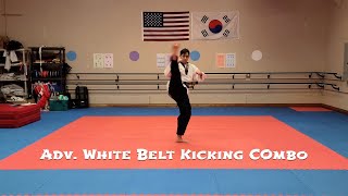 Adv White Belt Kicking Combo