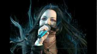 Evanescence - If you don't mind (live)
