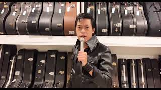 My Boy [Elvis Presley] cover by Elvich