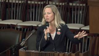 Flowers, Hochfeld & Huntington - Talking Healthcare, Jan. 29, 2011.