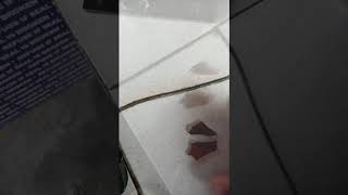 Regarding Decoys