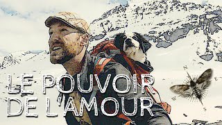 LE POUVOIR DE L'AMOUR - THE POWER OF LOVE