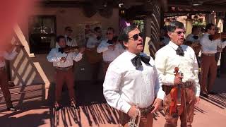 “El Son de Pasacalle” by Hayden and Mariachi Cobre