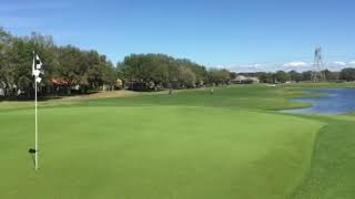 Fox Hollow 4th Hole, Tampa Bay