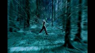 iVardensphere – Bonedance V3 [music photo art]