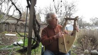 New Custom 10 string Myrtle wood /Spruce Lyre