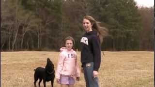 Green video (parody)
