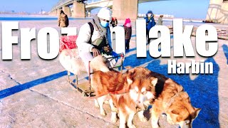 happy holiday  harbin frozen lake  Easy Trade Africa