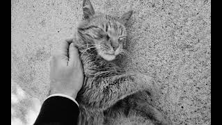 Yiruma - May Be