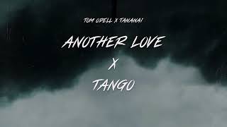 ANOTHER LOVE X TANGO (SAMUELE BRIGNOCCOLO MASHUP)