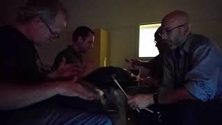 4x2 double handpan and RAV Vast