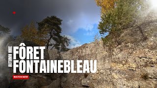 Fontainebleau forest autumn hike 