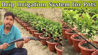 Drip Irrigation System under lowest budget | अपने गार्डन में ड्रिप सिंचाई कैसे करे वो भी सस्ते में 