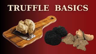 How to Cook with Truffles - Beginner's Guide
