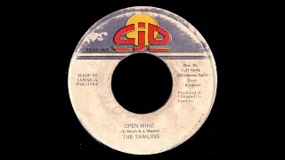 The Tamlins - Open Mind + Version