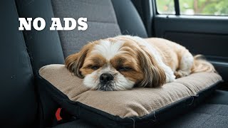 8 HOURS of Calming Travel Music for Dogs - Soft Journey