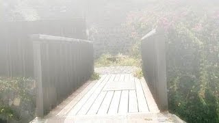 Relaxing Cello Music | Peaceful Orchestral - Mist