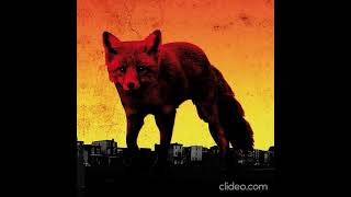 The Prodigy - Rok-Weiler
