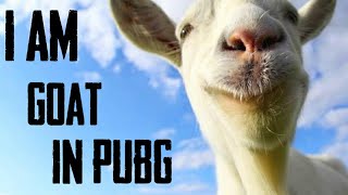 This is the power of ROTEEG | Xxxtentacion Jocelyn flowers