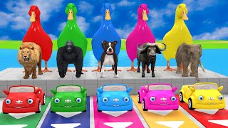 Long Slide Game with Cow Elephant Gorilla Hippopotamus Tiger 3d Animal Game Funny 3d Animals