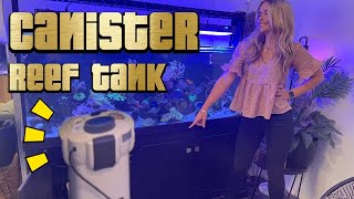 Canister filter Marine Tank - 20 Months on