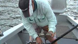 Coatesy and the Big Barramundi at Lake Tinaroo