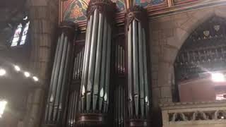 Hymn: Now the green blade riseth (Noël nouvelet)