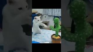 animeles funn fune for you cat and toy # dog#trendingvideo #2024