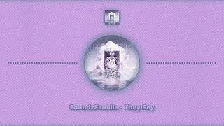 SoundzFamilia - They Say  (bassep342 - Bass Star Records)