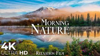 Morning Music in Nature 4K Ultra HD • Relaxation Film | Calm Piano