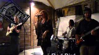 Danielle Hicks and the 8 Ohm Resistance video #2